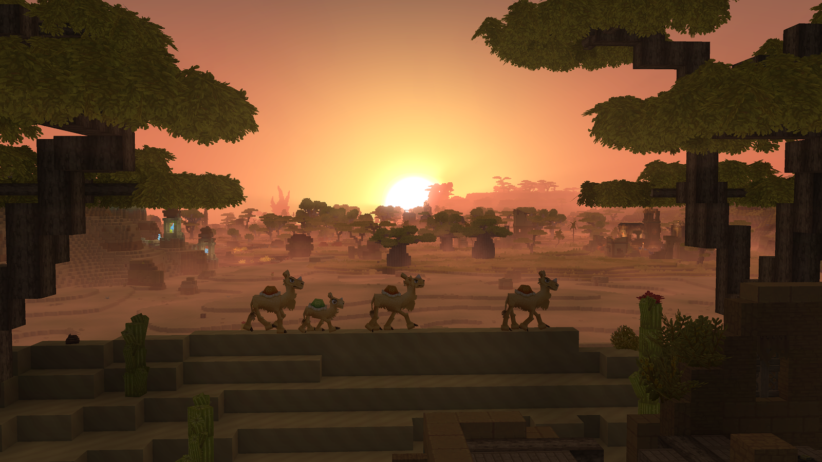 A group of camels walking across a dry landscape at sunset.